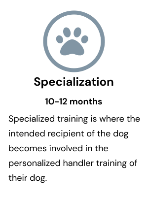 Specialized training of the dog with recipient at 10 months.