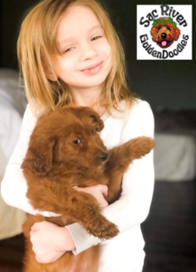 girl with her service dog