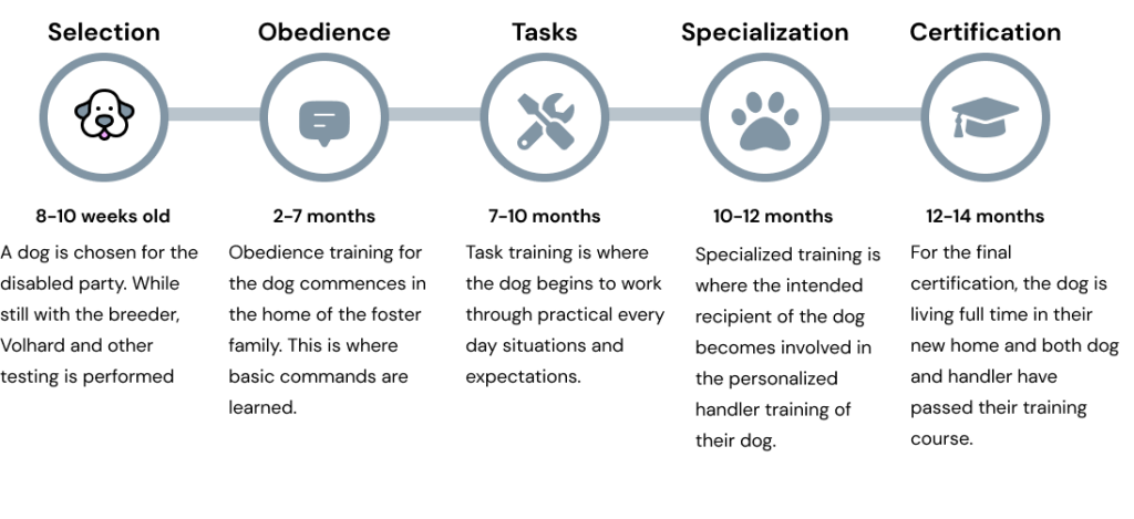 Information graphic of the training process.