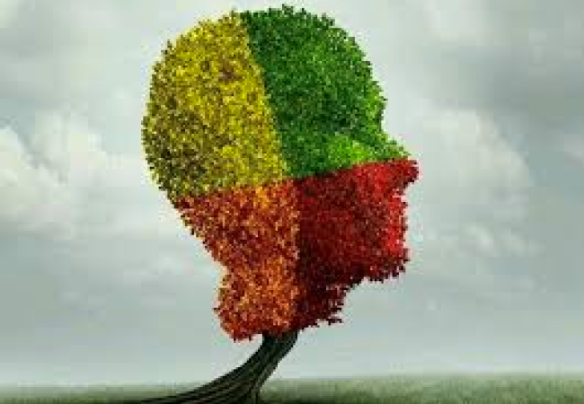 multi-color facial profile