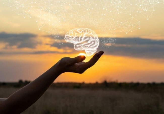 hand holding brain image