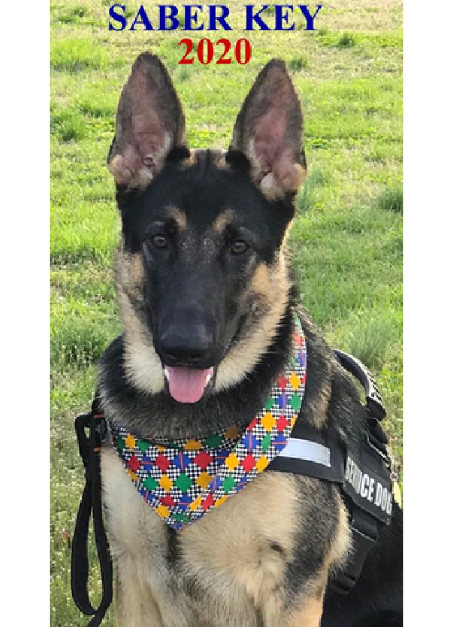 psychiatric service dog