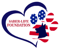 Saber Life Foundation logo