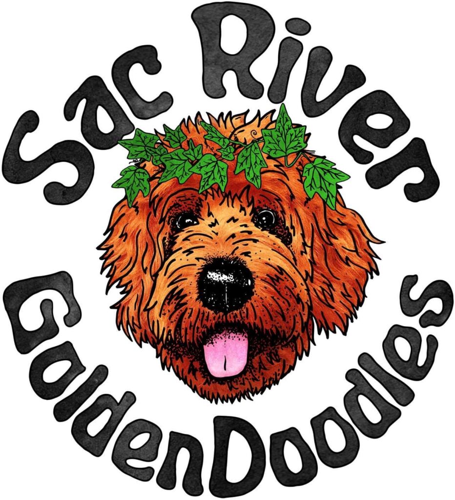 Sac River Golden Doodles logo. Image links to their website and opens a new browser window/tab.
