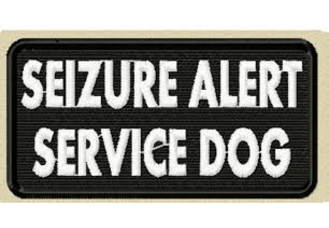 Seizure alert service dog